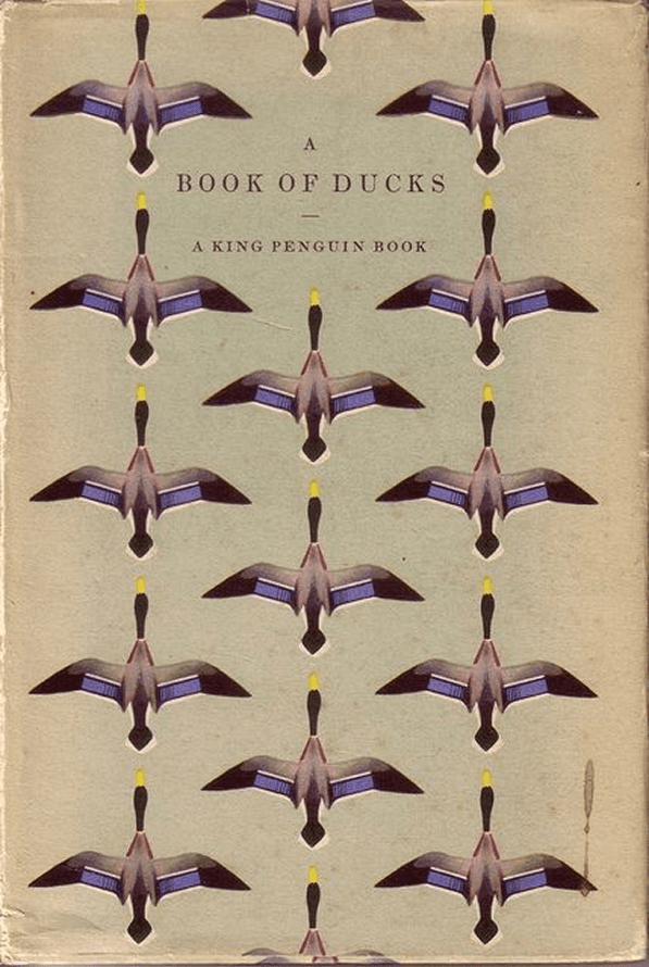 A Book of Ducks